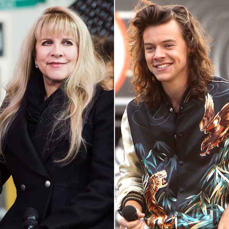 Harry Styles' Friendship With Stevie Nicks: A Complete History