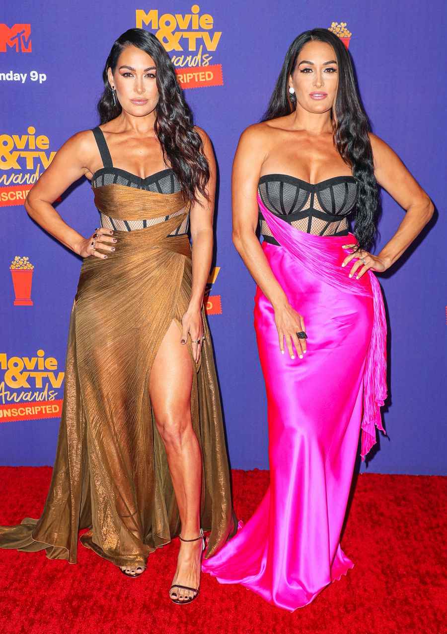 MTV Movie & TV Awards Red Carpet Arrivals - Nikki Bella and Brie Bella