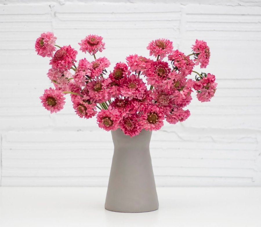 Mother’s Day Gift Guide 2021
