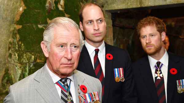 Prince Harry Prince Charles Wanted William And I Suffer 2