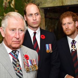 Prince Harry Prince Charles Wanted William And I Suffer 2