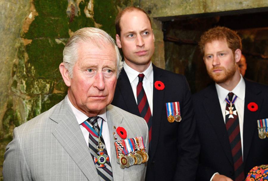 Prince Harry Prince Charles Wanted William And I Suffer 2