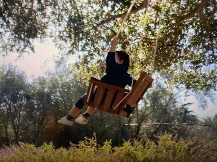 Prince Harrys Son Archie Makes Swinging Cameo The Me You Cant See Series Photo
