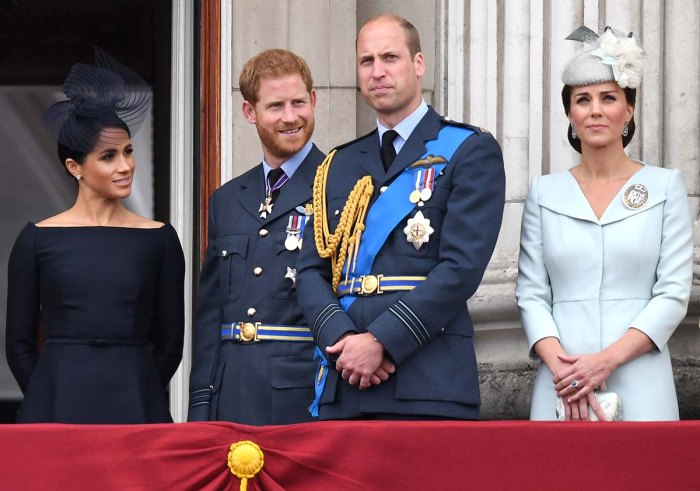 Prince William Cant Comprehend Why Harry Throws Family Under Bus