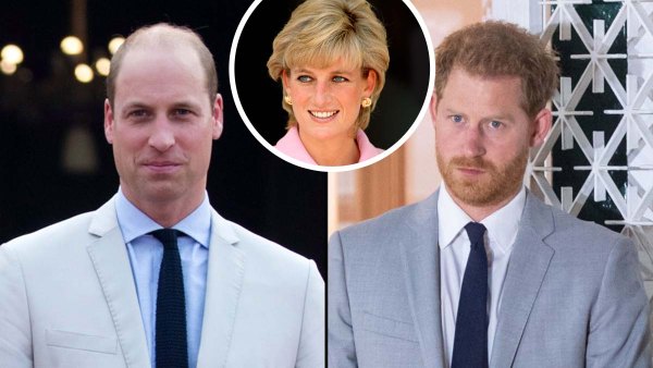 Prince William Harry Criticize Dianas BBC Interview After Investigation