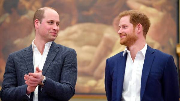 Prince William and Prince Harry Everything to Know About Princess Diana Statue Unveiling