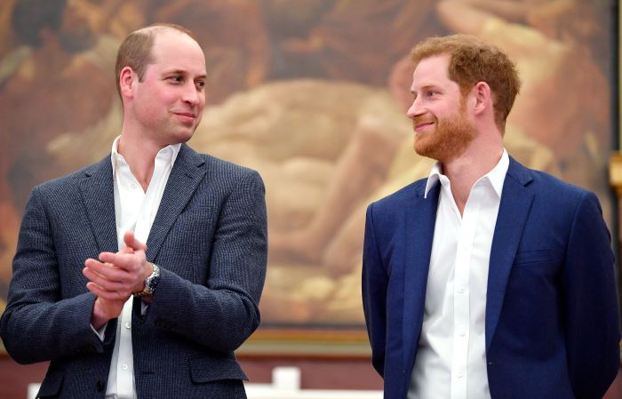 Prince William and Prince Harry Everything to Know About Princess Diana Statue Unveiling