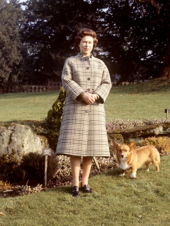 Rainha Elizabeth II devastada pela morte do novo filhote Fergus 2