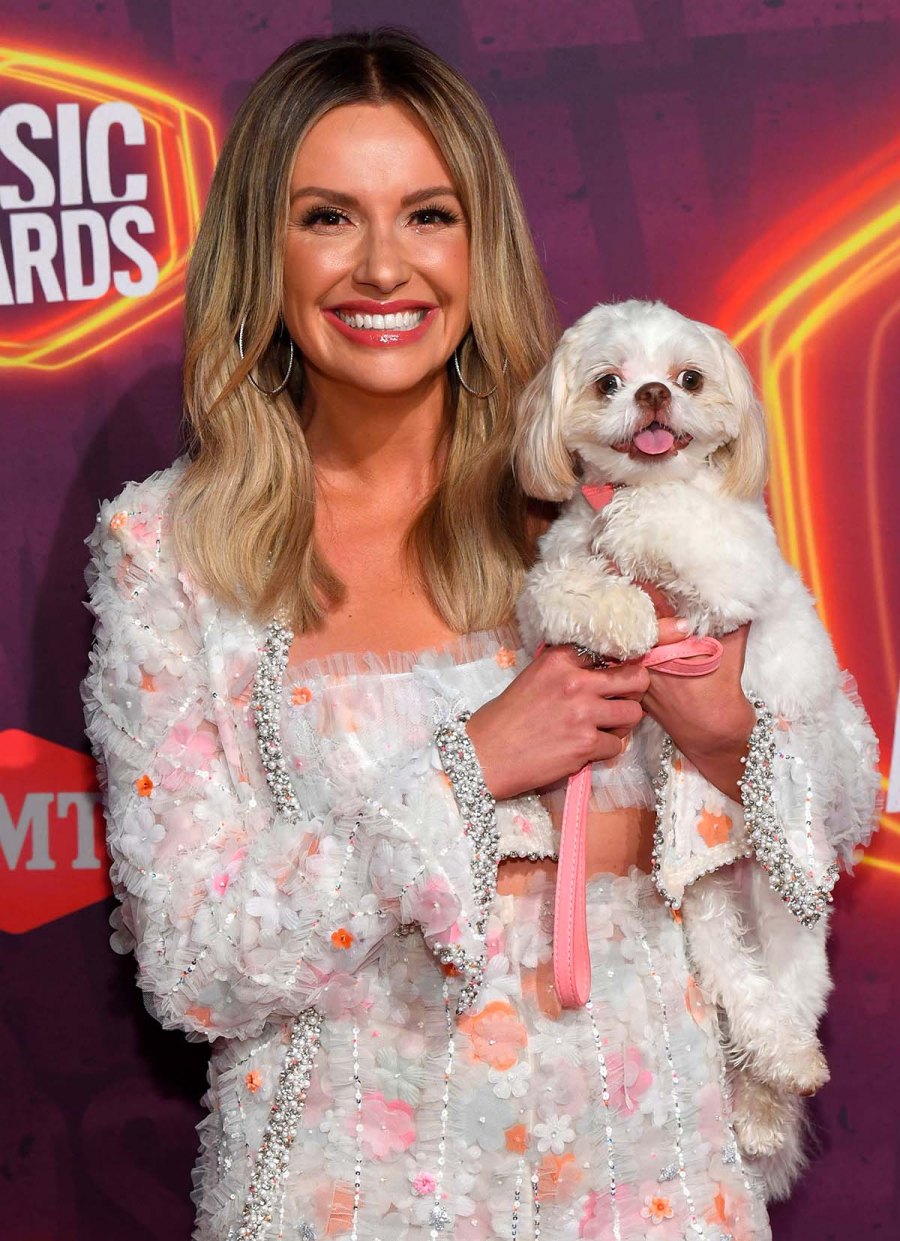 CMT Awards 2021 Celebrities Their Pets