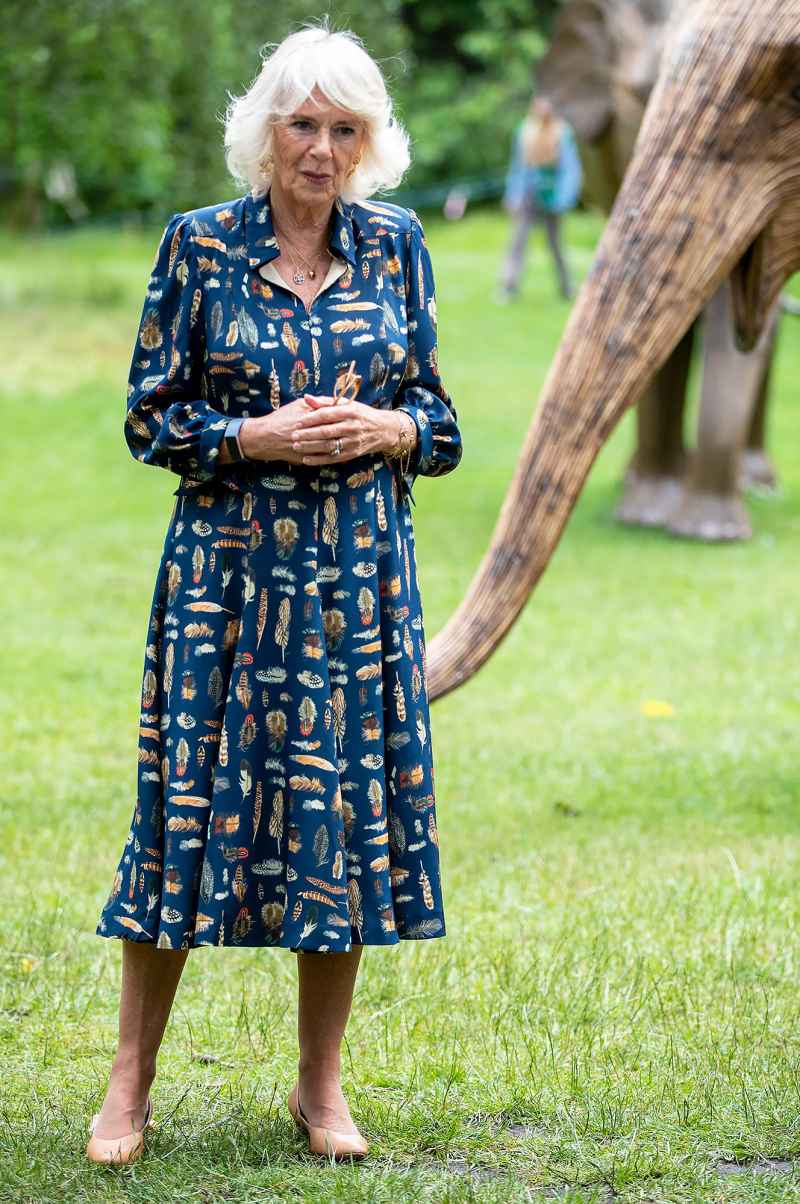 One With Nature! Duchess Camilla Steps Out in Feather-Print Dress