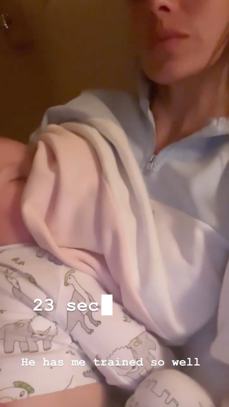 Hilaria Baldwin Shares Breast-Feeding Pics While Raising 6 Kids June 2021