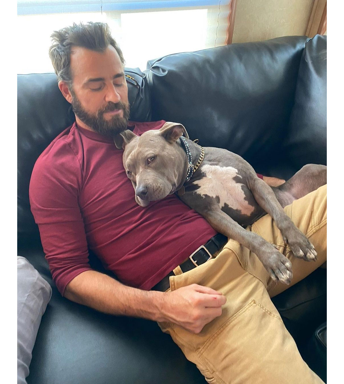 Justin Theroux Gushes Over Dog Kuma for Her Gotcha Day 2