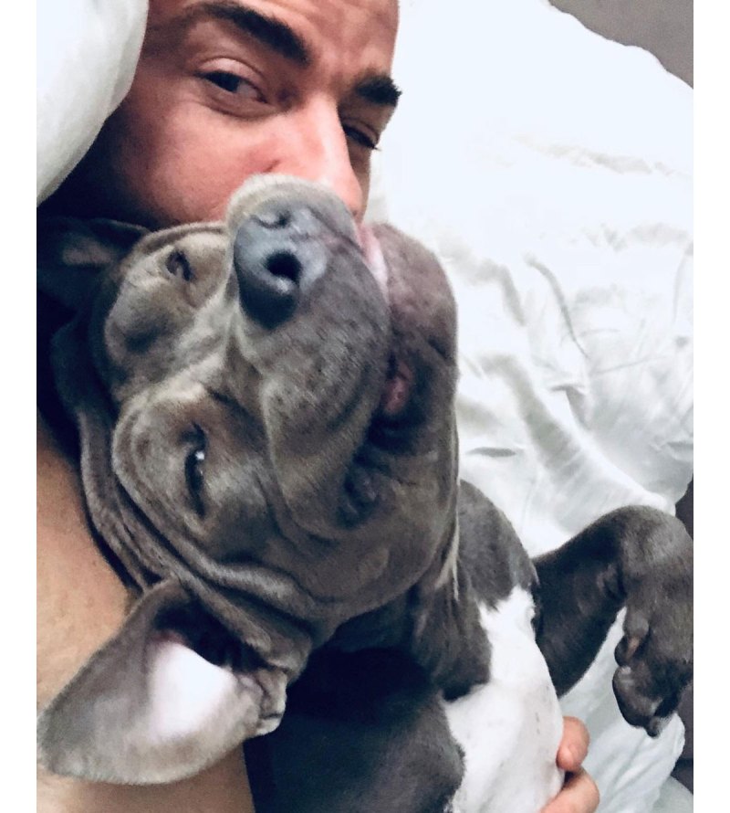 Justin Theroux Gushes Over Dog Kuma for Her Gotcha Day 3