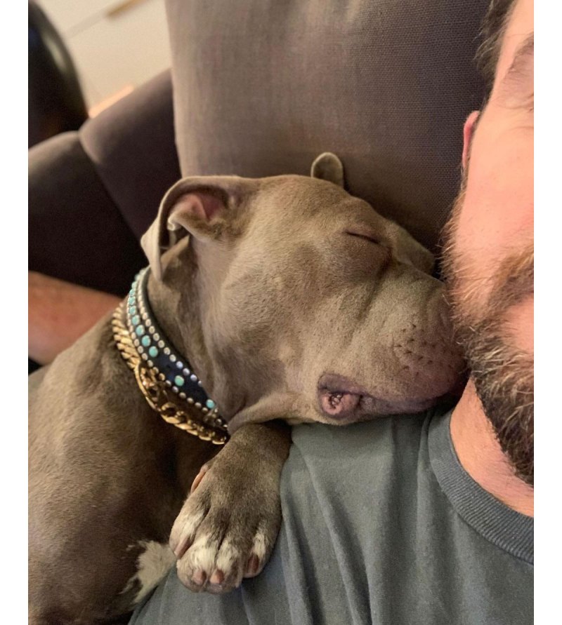 Justin Theroux Gushes Over Dog Kuma for Her Gotcha Day 5