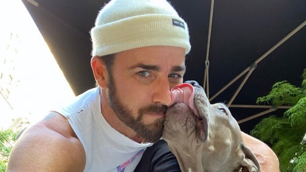 Justin Theroux Gushes Over Dog Kuma for Her Gotcha Day 6