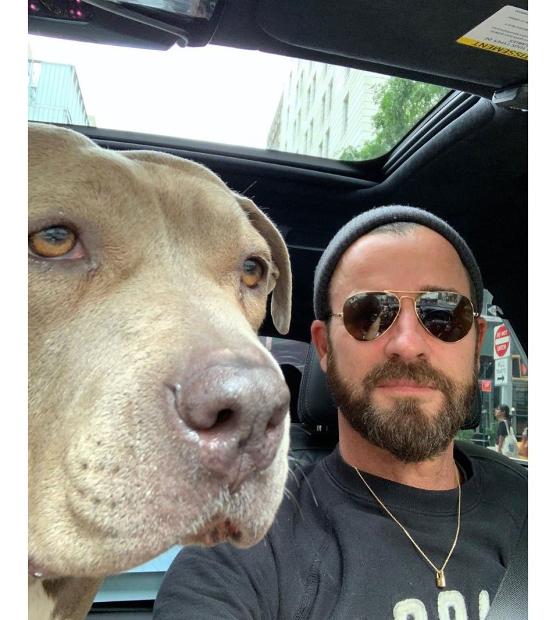 Justin Theroux Gushes Over Dog Kuma for Her Gotcha Day