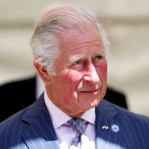 Prince Charles Faces Prince Harry Princess Diana Statue Unveiling