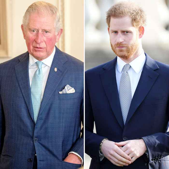 Prince Charles Faces Prince Harry Princess Diana Statue Unveiling