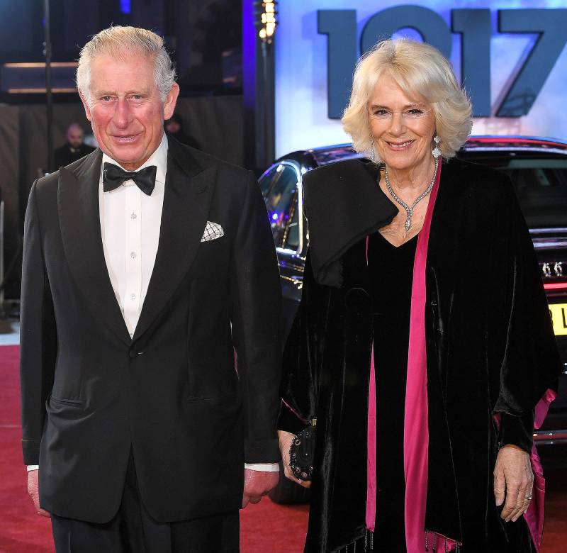 Prince Charles and Duchess Camilla Where Do Harry and Meghan Stand With the Rest of the Royal Family