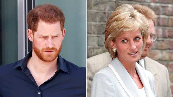 Prince Harry HRH Title Removed From Princess Diana Exhibit