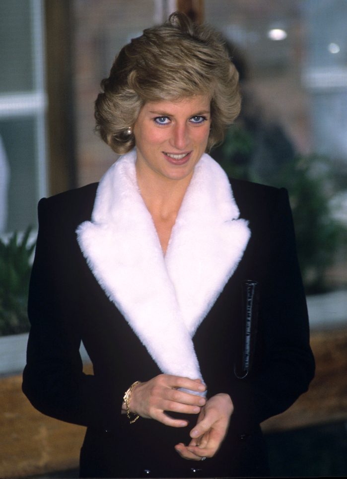 Prince William and Harry Will Be Joined by Close Family for Diana Statue Unveiling 3