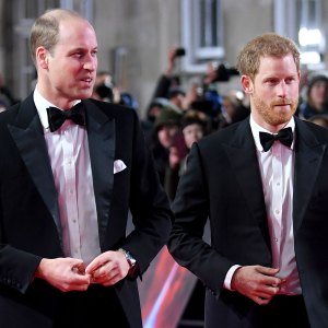 Prince William and Harry Will Be Joined by Close Family for Diana Statue Unveiling