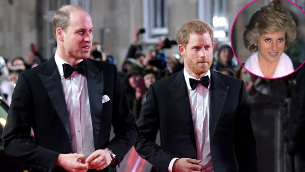 Prince William and Harry Will Be Joined by Close Family for Diana Statue Unveiling