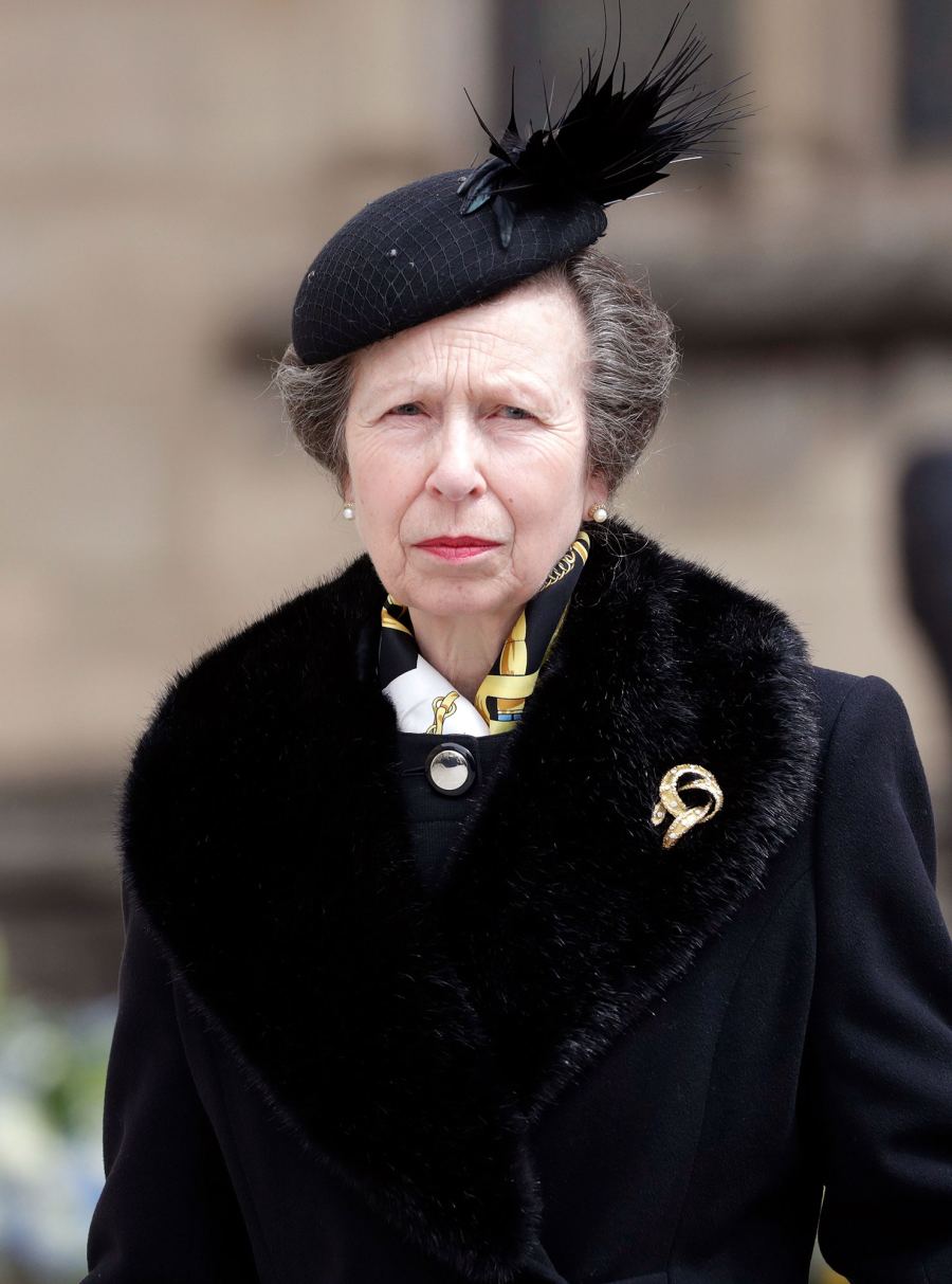 Princess Anne Where Do Harry and Meghan Stand With the Rest of the Royal Family