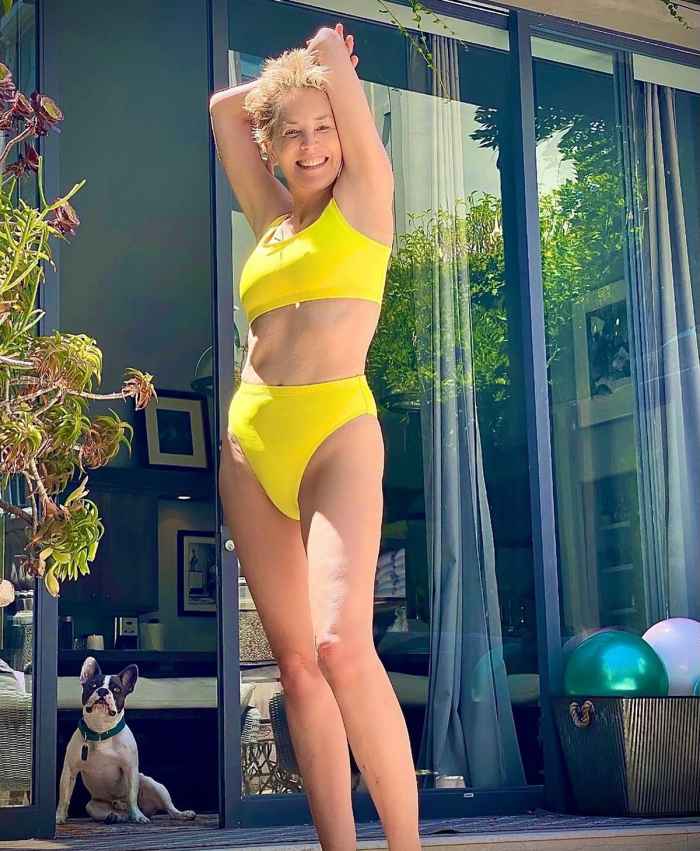 She's 63! Sharon Stone Shows Off Insane Bikini Body