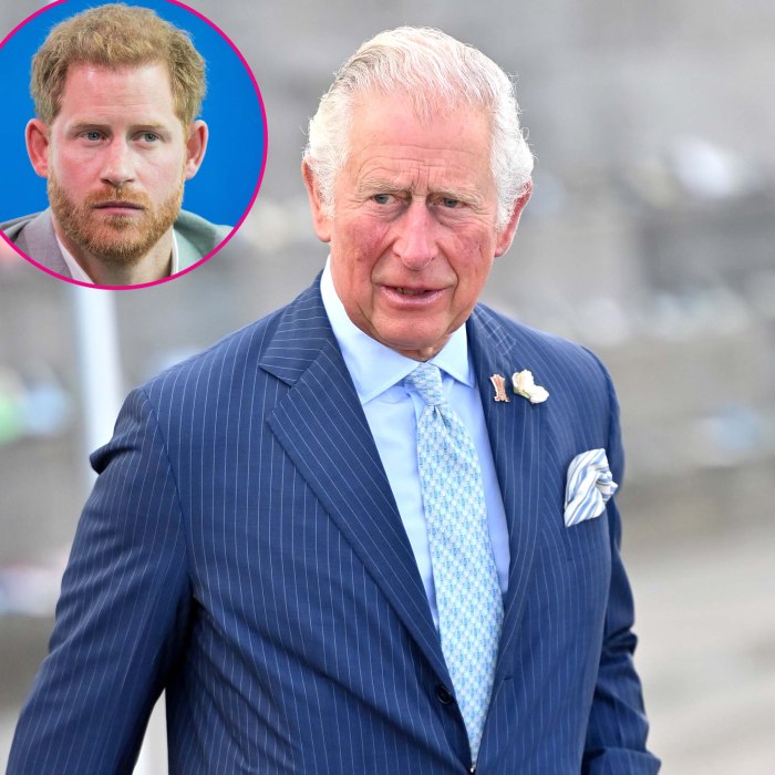Why Prince Charles Can't Handle Criticism From Prince Harry
