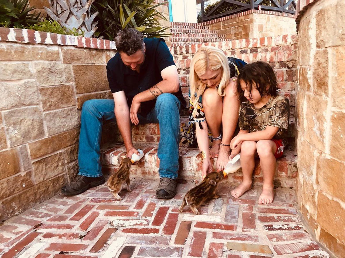 Blake Shelton's Heartwarming Journey with Gwen Stefani's 3 Sons Unveiled