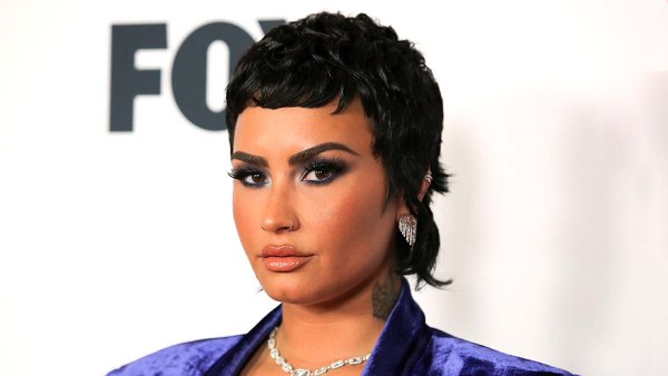 Body Confidence Demi Lovato Shares Lingerie Selfie