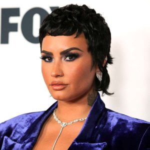 Body Confidence Demi Lovato Shares Lingerie Selfie