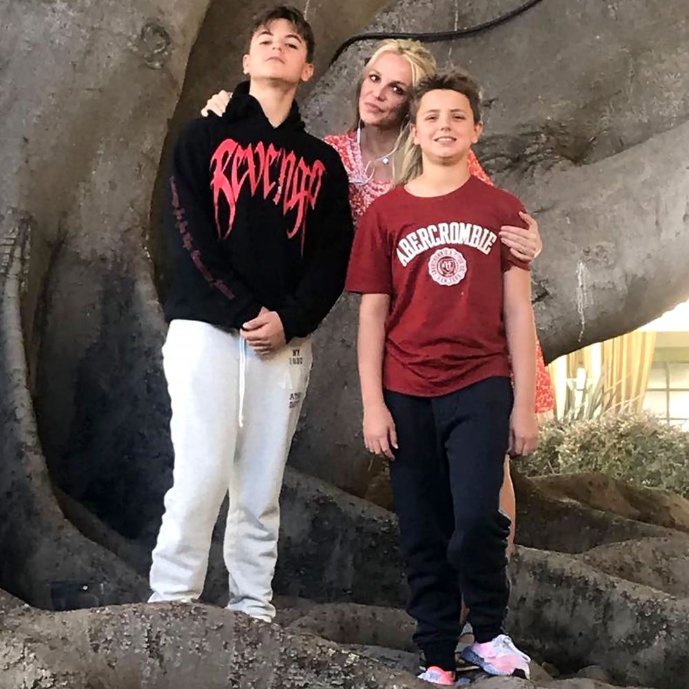 Britney Spears&rsquo; &lsquo;Happiest Times&rsquo; Are When She&rsquo;s With Her Sons: Everything Else &lsquo;Fades Away&rsquo;