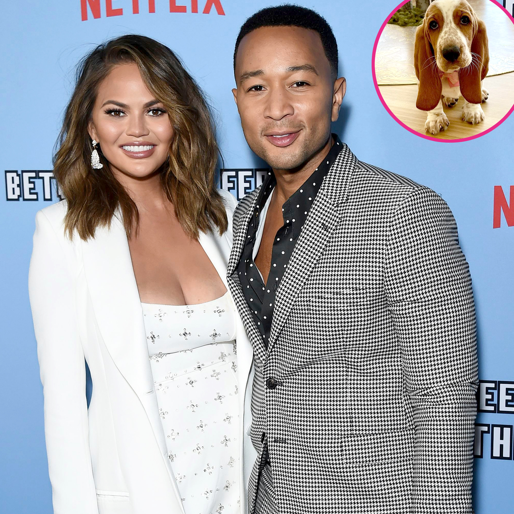 Chrissy Teigen John Legend Get New Puppy After Dog Pippa Death