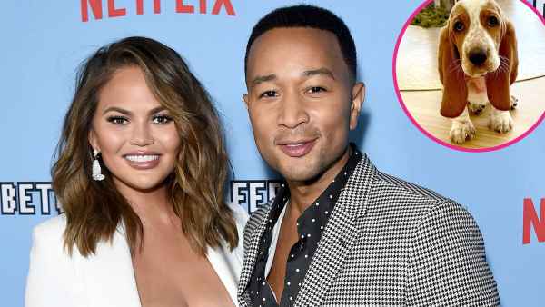 Chrissy Teigen John Legend Get New Puppy After Dog Pippa Death