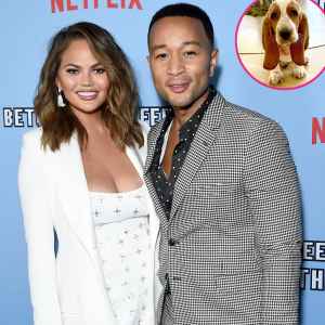 Chrissy Teigen John Legend Get New Puppy After Dog Pippa Death