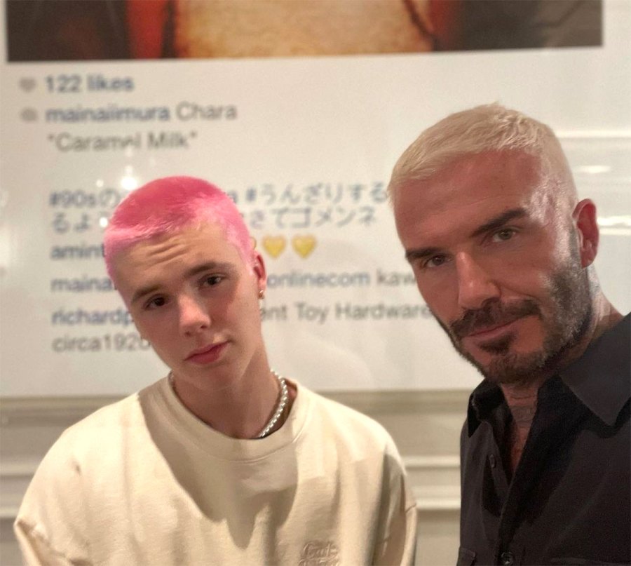 David Beckham Romeo Pink Hair