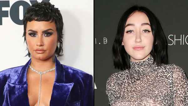Demi Lovato and Noah Cyrus Hold Hands After Attending Six Flags Event