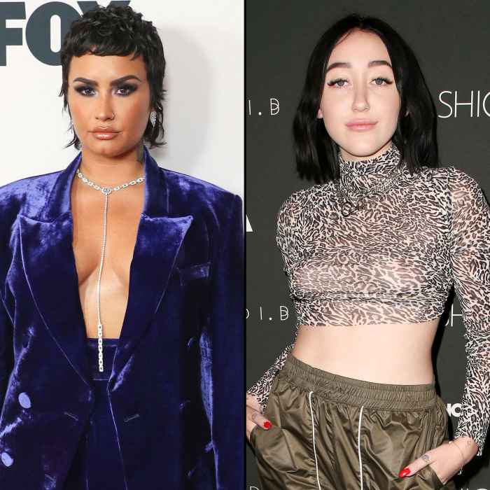 Demi Lovato and Noah Cyrus Hold Hands After Attending Six Flags Event