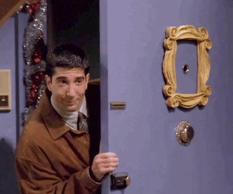 Friends Monkey Trainer Slams David Schwimmer After Reunion Comments