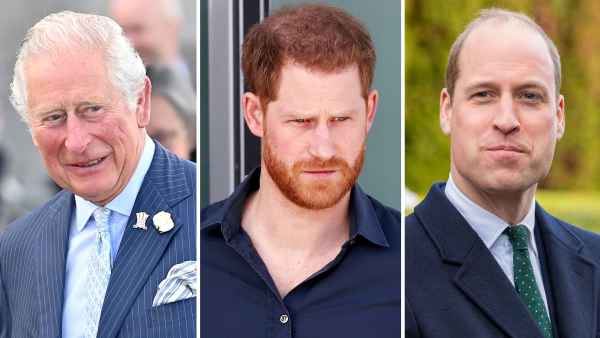 How Does the Royal Family Feel About Prince Harry's Upcoming Book?