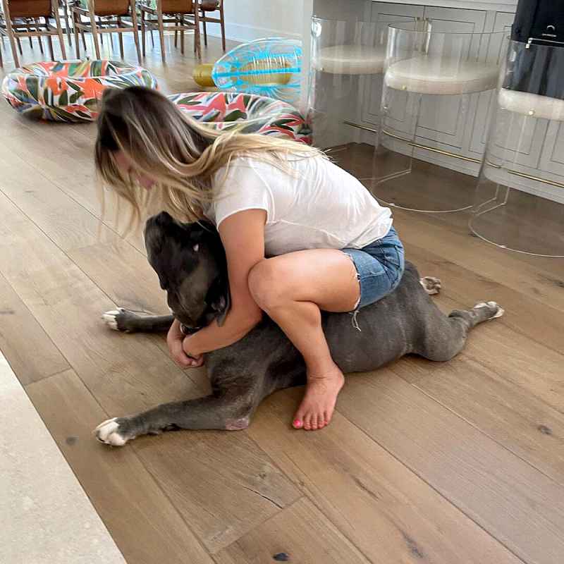 Kaley Cuoco Adopts New Dog Larry 5 Months After Pup Norman Death