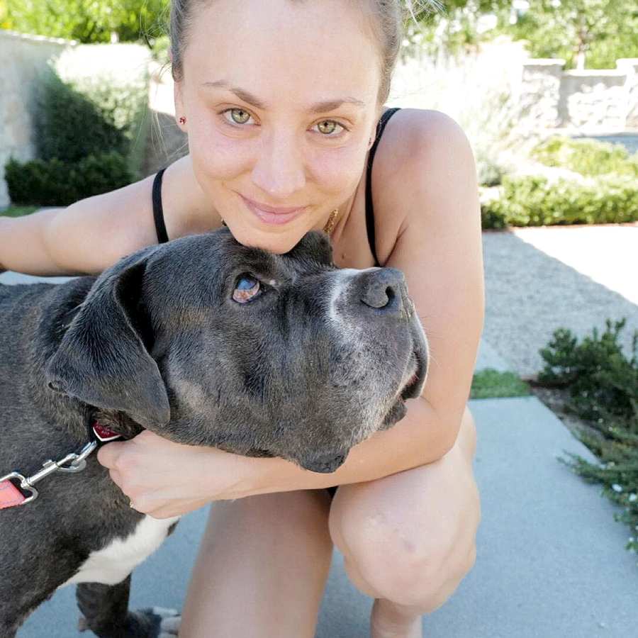 Kaley Cuoco Adopts New Dog Larry 5 Months After Pup Norman Death