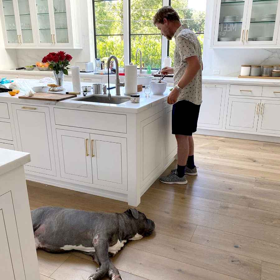 Kaley Cuoco Adopts New Dog Larry 5 Months After Pup Norman Death