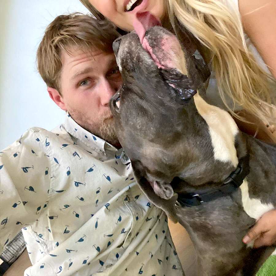 Kaley Cuoco Adopts New Dog Larry 5 Months After Pup Norman Death