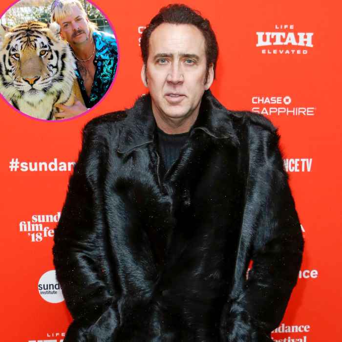 Nicolas Cage Wont Star As Tiger King Joe Exotic As Amazon Shelves Series