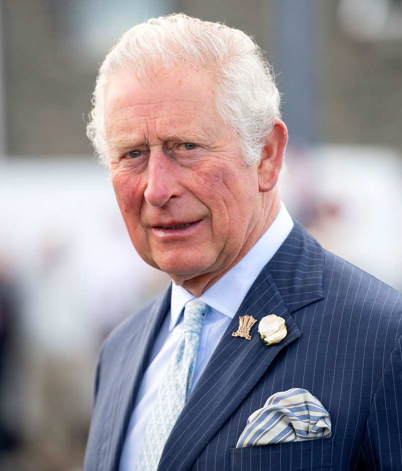 Prince Charles British Royals Who Wrote Memoirs