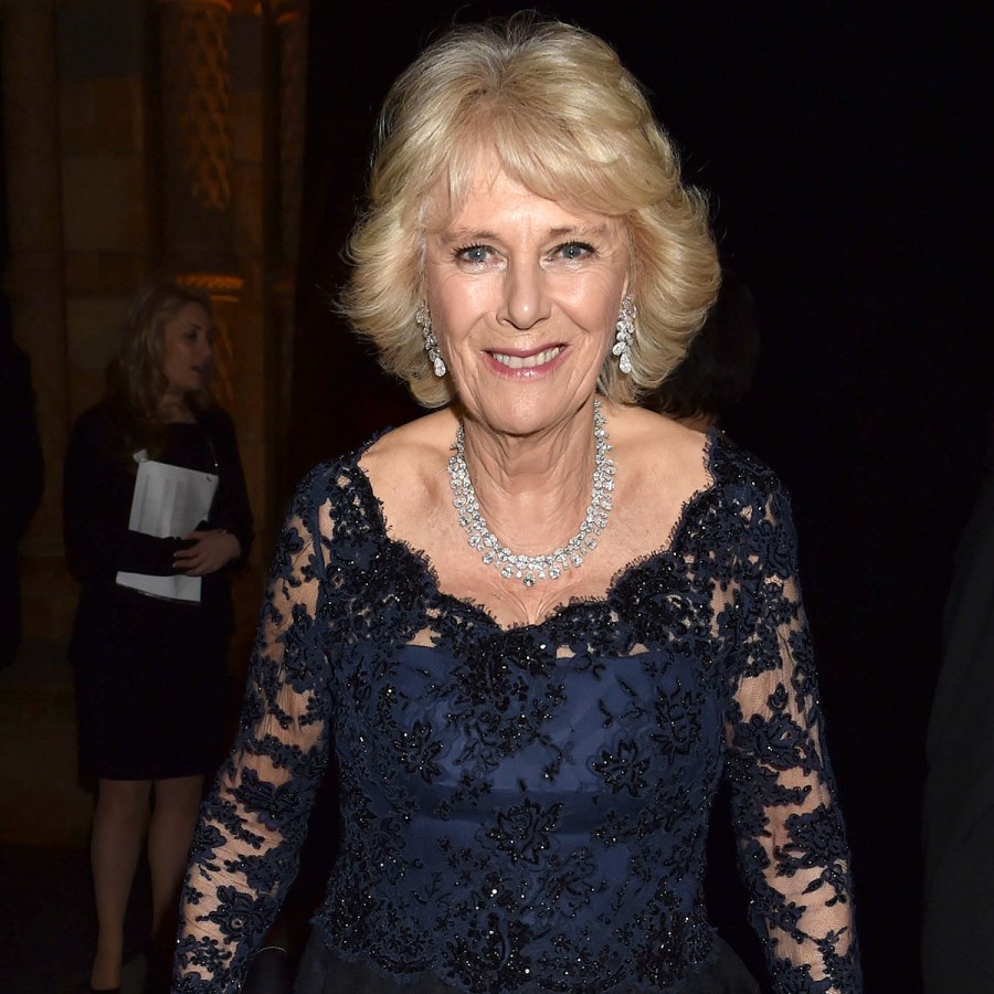 Prince Charles Duchess Camilla Relationship Timeline