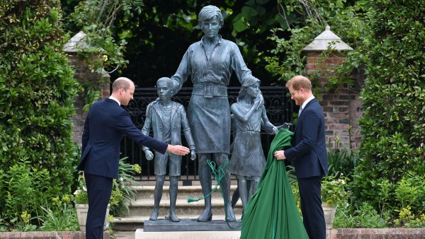 Prince William and Prince Harry Diana Tributes